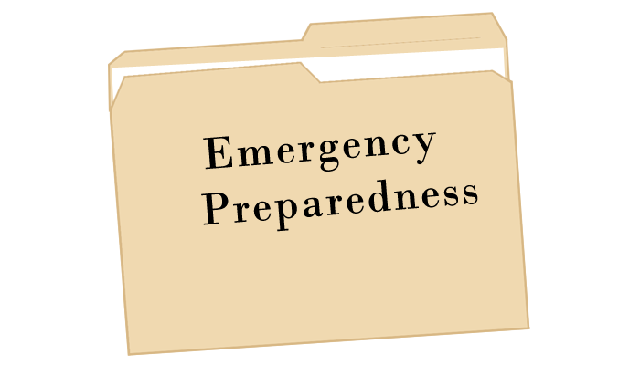 Emergency Preparedness Committee Grafton, Illinois 62037